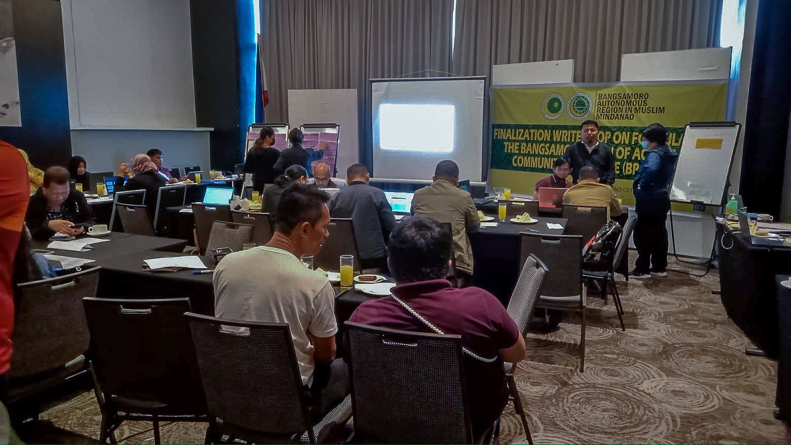 TFI Experts Co-facilitate Finalization Write-Shop on Formulating BPA-CoRe